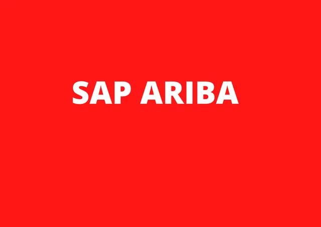 curso sap ariba - Qué es el sistema SAP Ariba