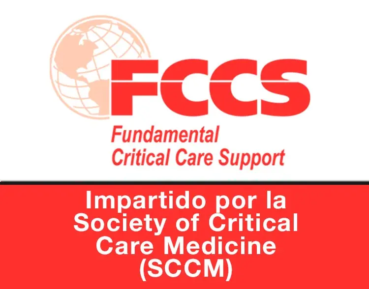 fccs curso - Qué es FCCs