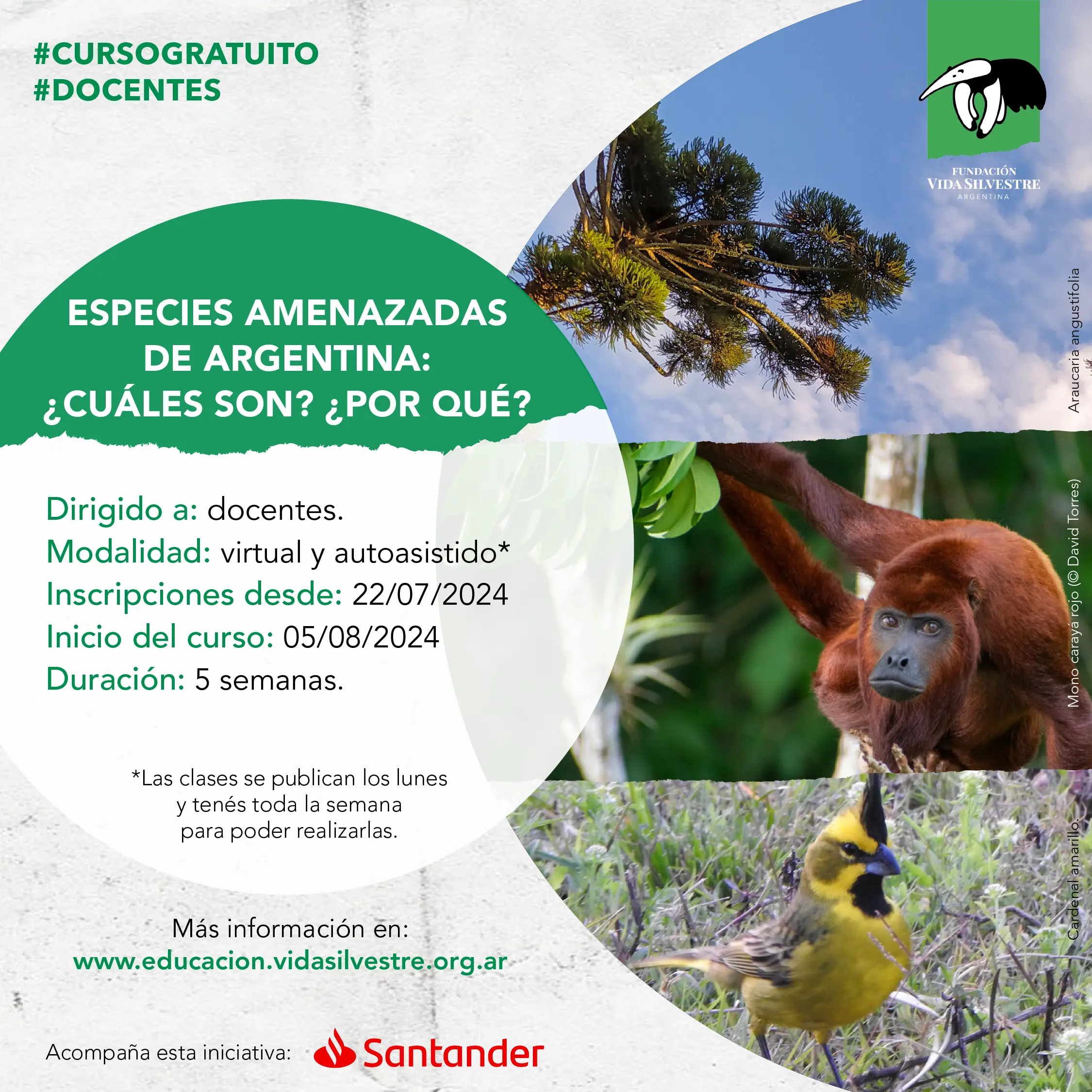 vida silvestre cursos - Qué es IVIS