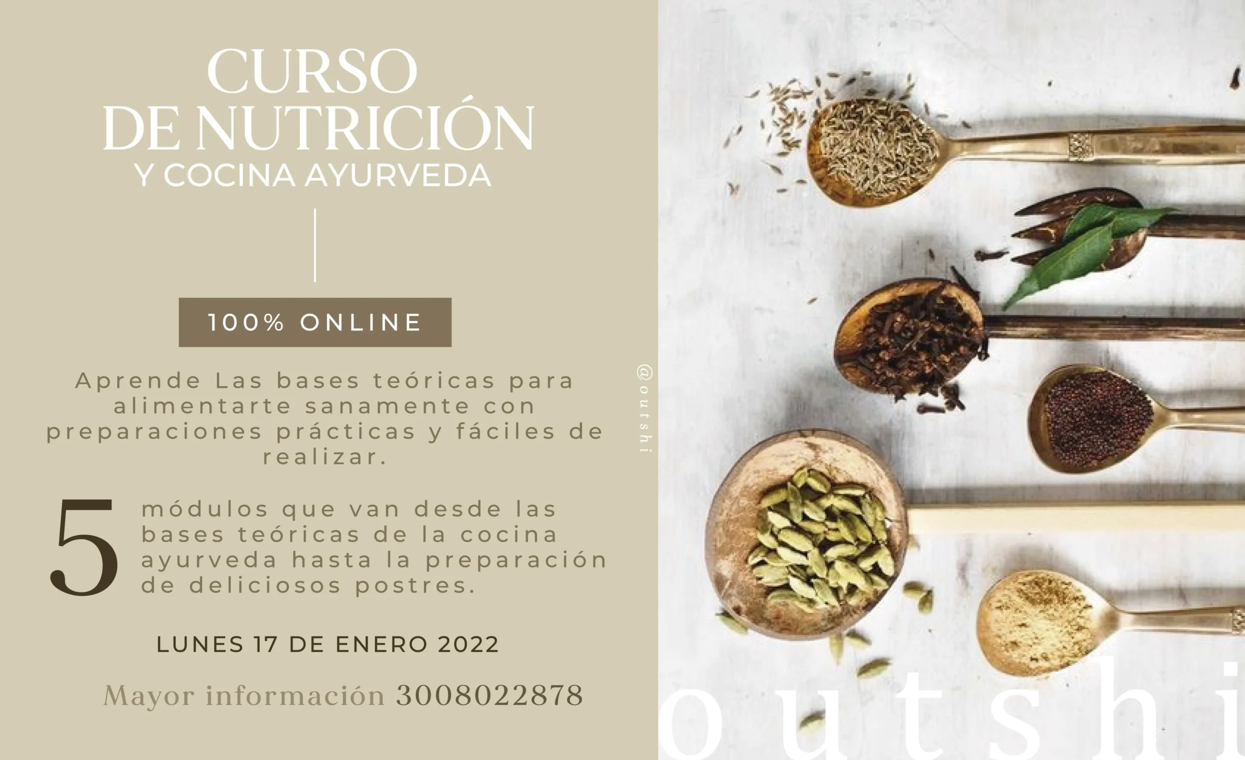 nutricion ayurveda cursos - Qué es la alimentación ayurvédica