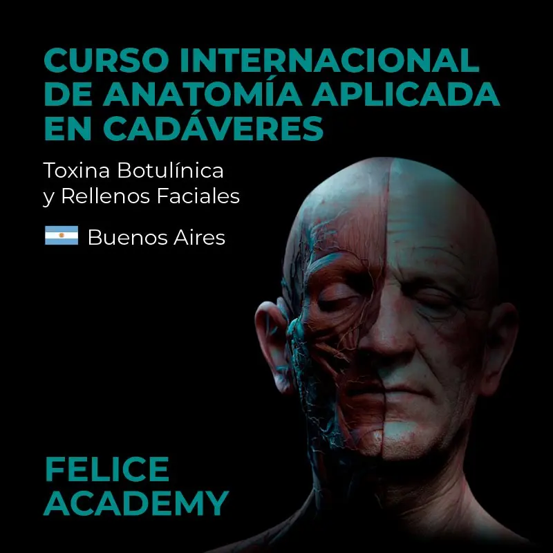 Curso de Anatomía UBA: Guía Completa para Estudiantes - Qué es la cátedra de anatomía curso de anatomia uba - Qué es la cátedra de anatomía