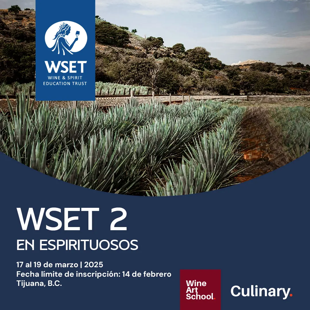 curso wset - Qué es la certificación WSET
