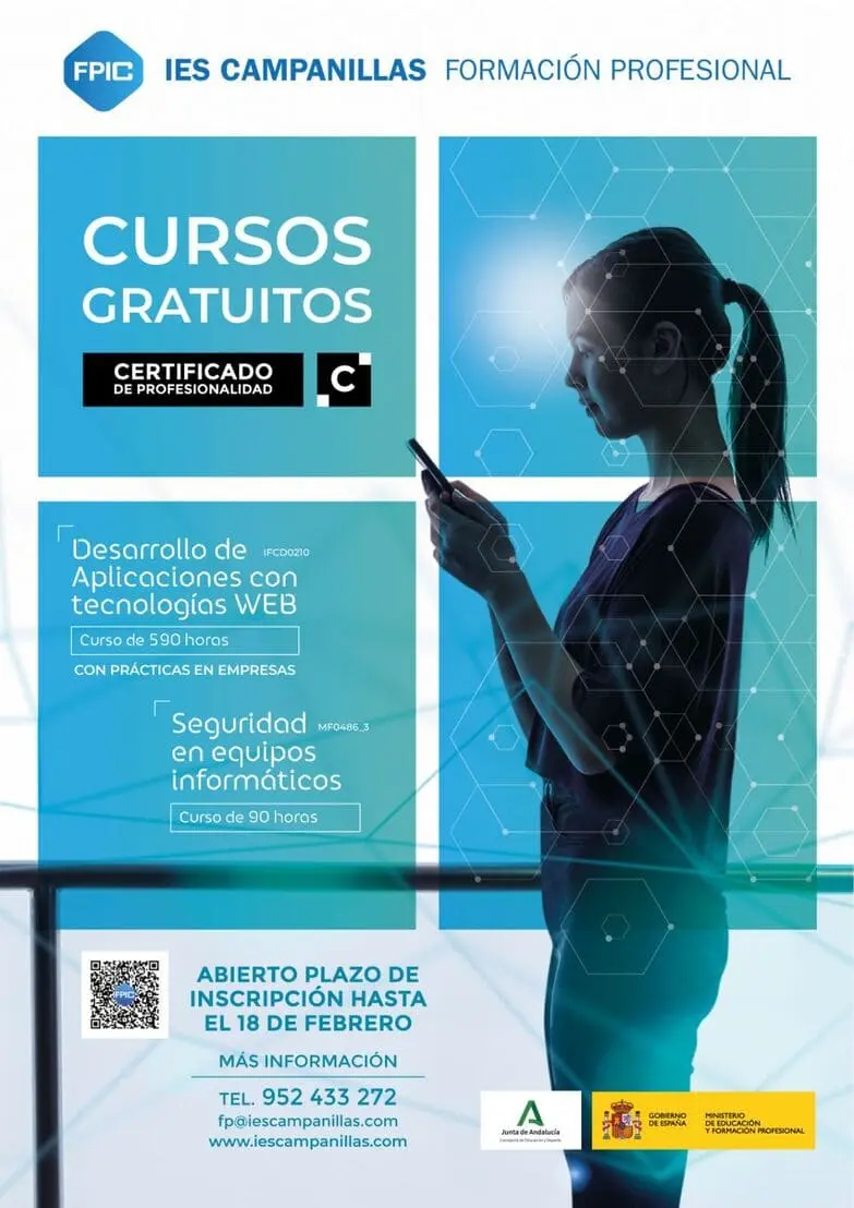cursos ies - Qué es la ISE