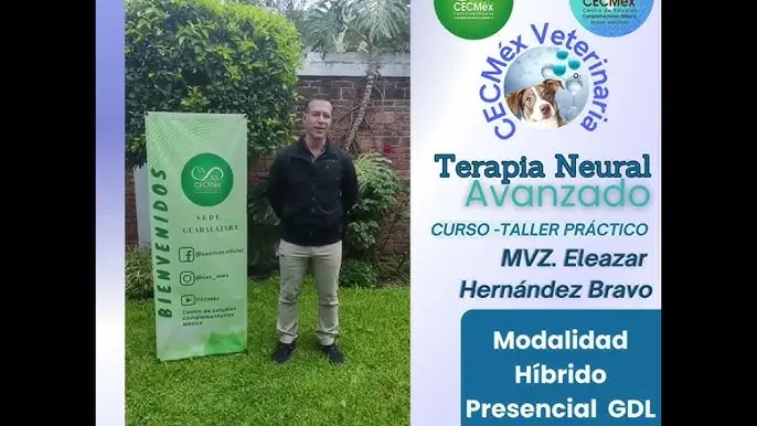 curso terapia neural veterinaria - Qué es la Terapia Neural en veterinaria