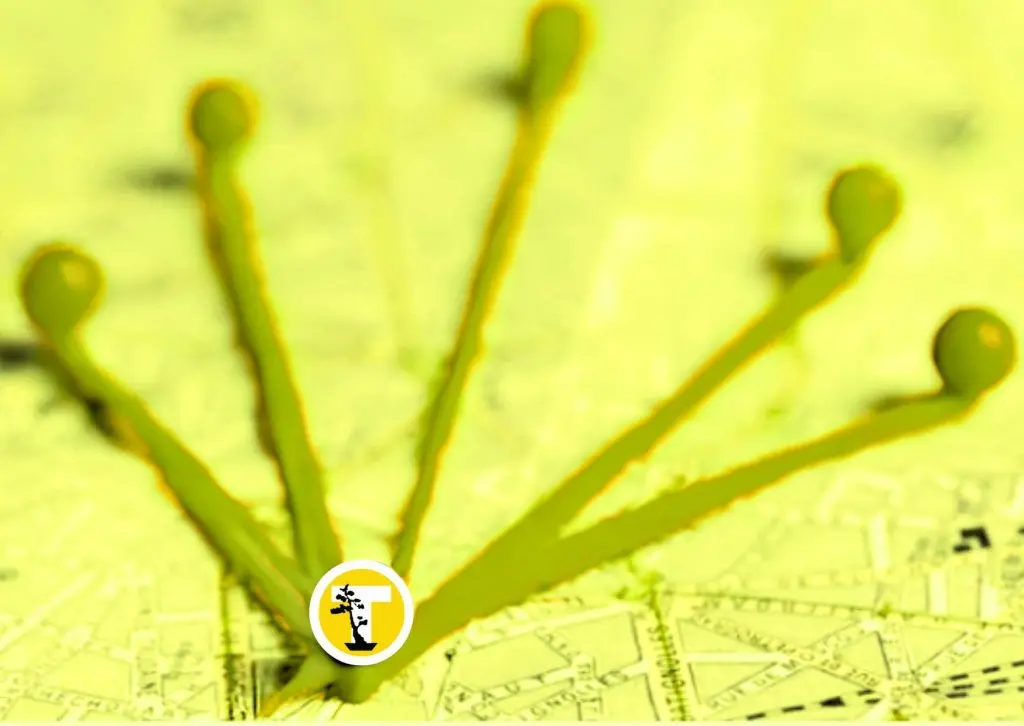 curso go to market - Qué es road to market