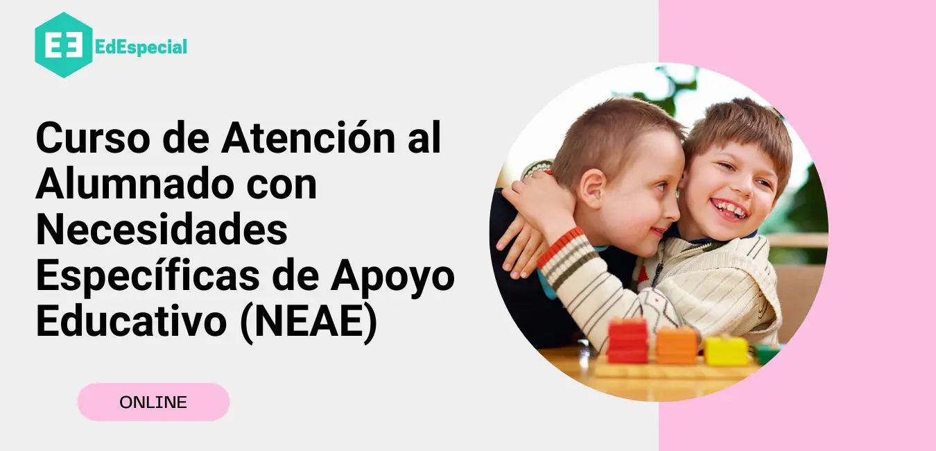 Curso de Necesidades Educativas Especiales: Guía Completa - Qué es un certificado de NEE curso necesidades educativas especiales - Qué es un certificado de NEE