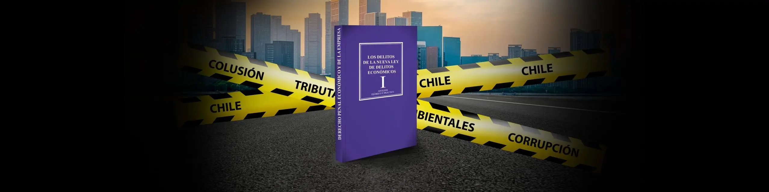 curso de delitos economicos - Qué es un delito económico según la ley 21.595 de Chile