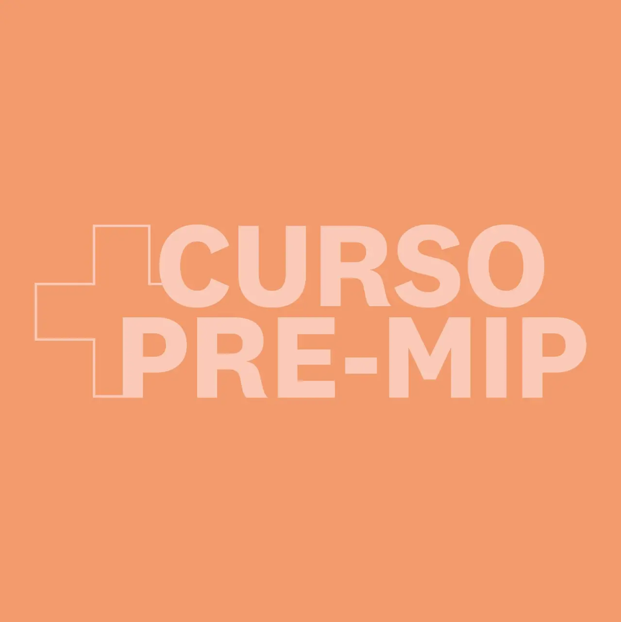 curso mip - Qué es un MIP