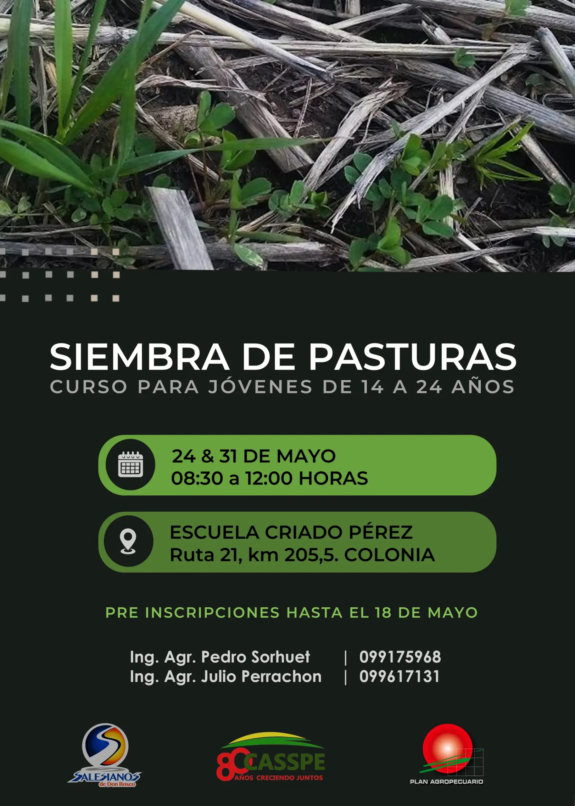 Curso Siembra: Guía Completa para Principiantes - Qué es un programa de siembra curso siembra - Qué es un programa de siembra