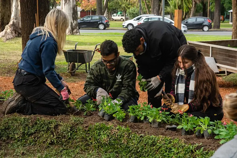 curso de jardineria rosario - Qué es un taller de Jardinería