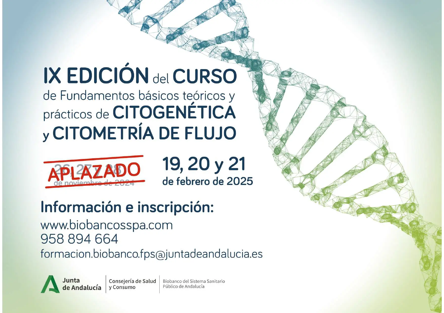 cursos teóricos y prácticos - Qué es una asignatura teórica práctica