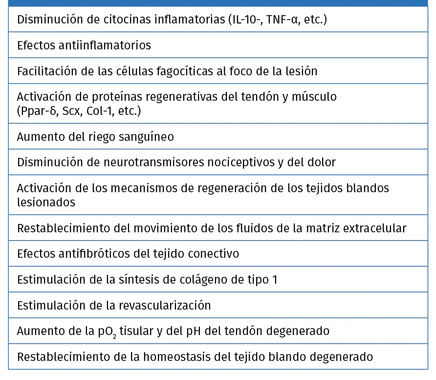 curso epi - Qué es una prueba EPI