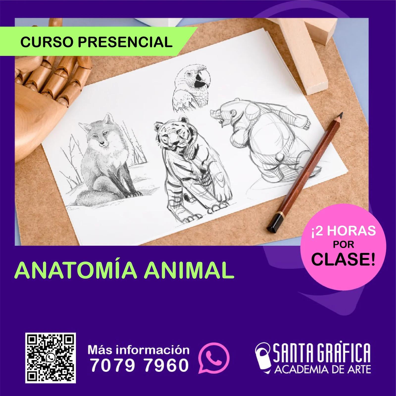 curso de anatomia animal - Qué estudia Anatomía animal