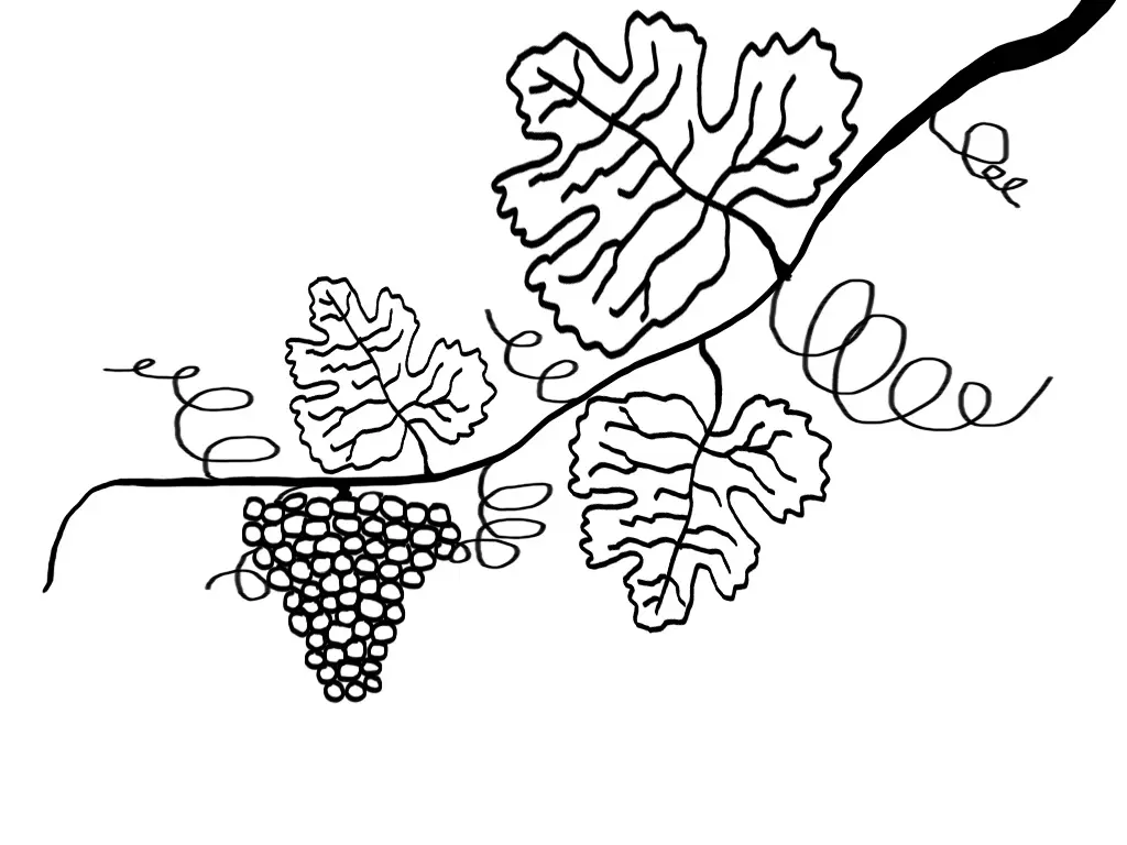 curso espirita - Qué estudia el espiritismo