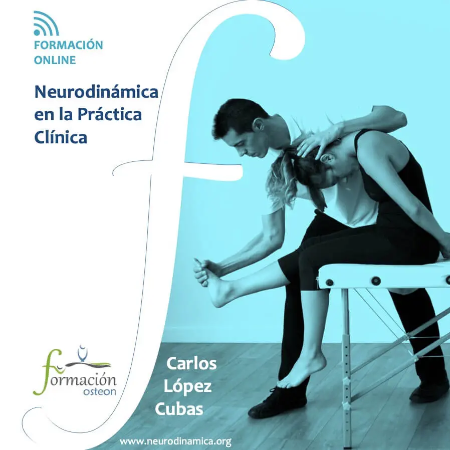 Curso de Neurodinámica: Guía Completa para Fisioterapeutas y Pacientes - Qué estudia la neurodinámica curso de neurodinamica - Qué estudia la neurodinámica