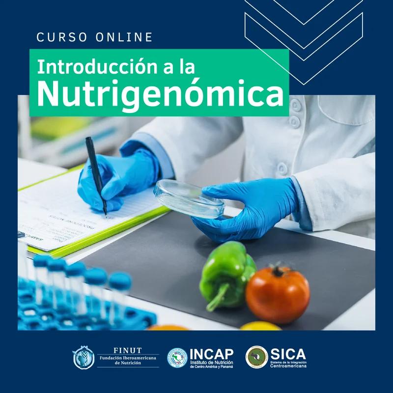 Nutrigenómica: El Futuro de la Nutrición Personalizada - Qué estudia la nutrigenómica curso nutrigenomica - Qué estudia la nutrigenómica