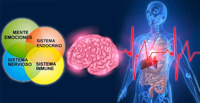 curso psiconeuroinmunología - Qué estudia la psiconeuroinmunología