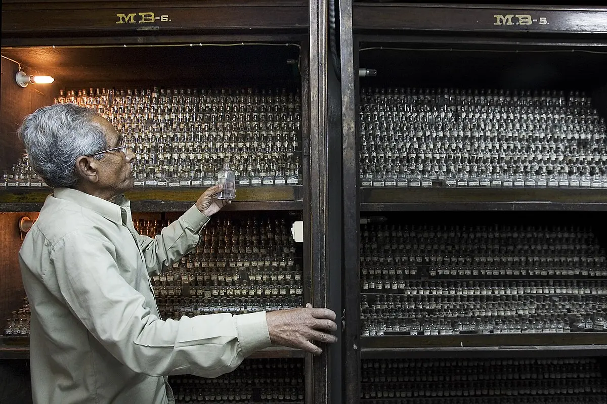 cursos medicina alternativa - Qué estudia un médico alternativo