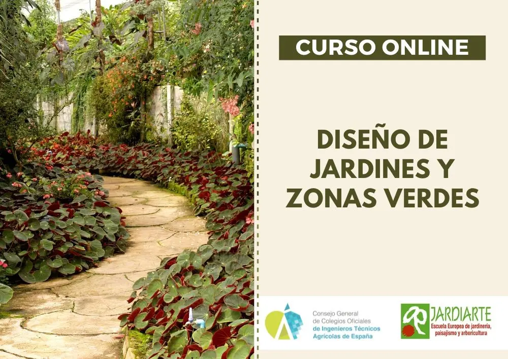 curso de diseño de jardines y paisajismo - Qué estudiar para diseñar jardines