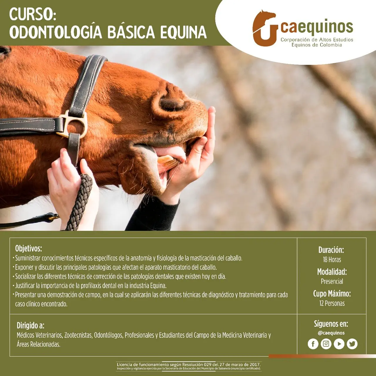 curso de equinos - Qué estudiar para montar un caballo