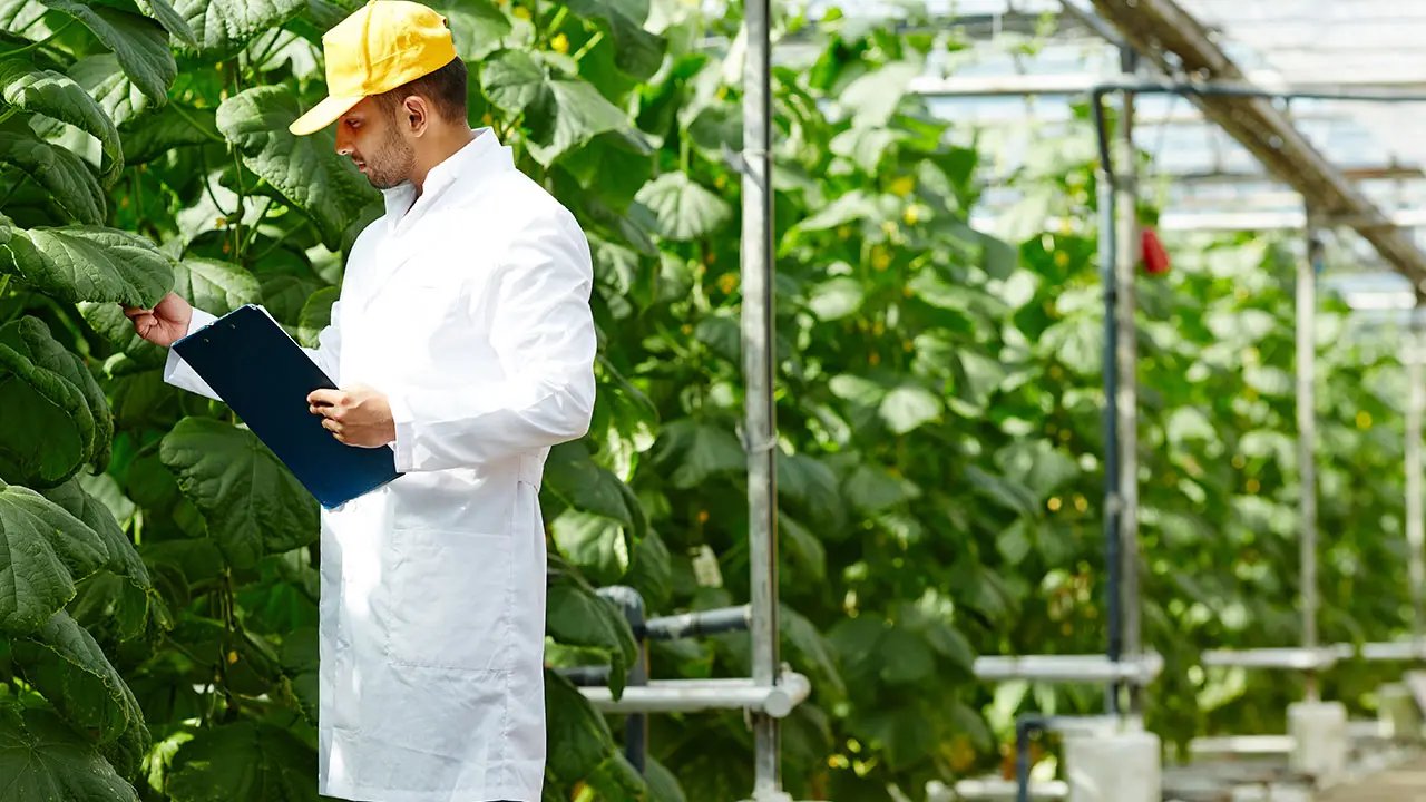 Curso de Administración de Empresas Agropecuarias: Guía Completa - Qué hace un administrador agropecuario curso de administracion de empresas agropecuarias - Qué hace un administrador agropecuario
