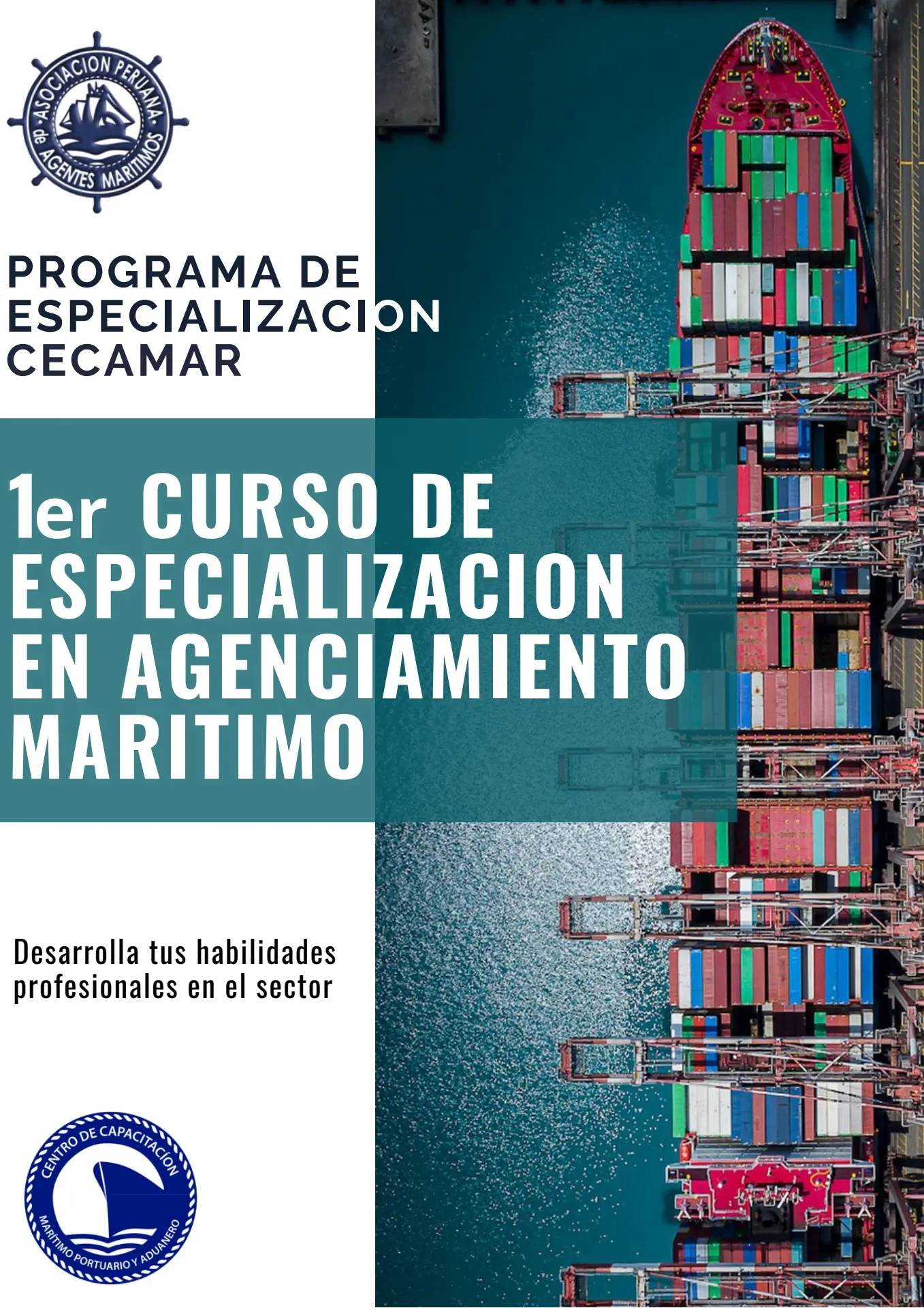 agente maritimo curso - Qué hace un agente marítimo