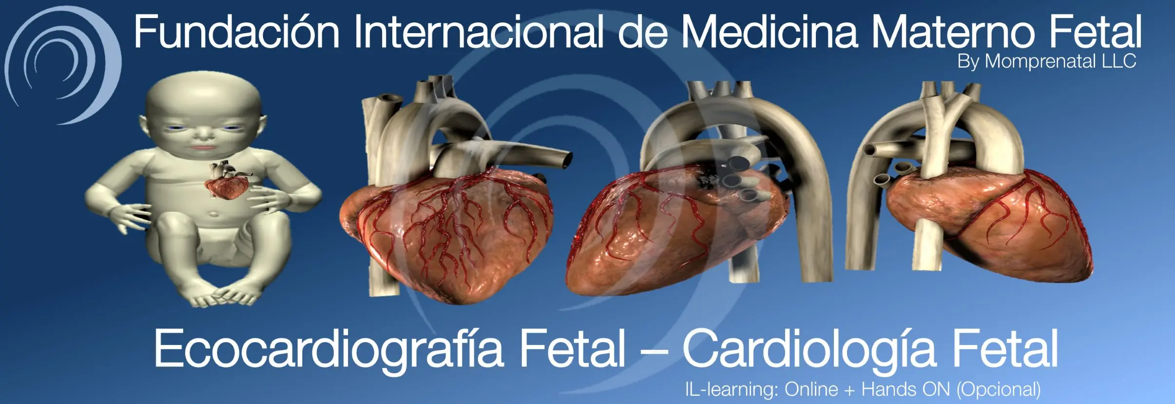 Curso de Medicina Materno Fetal: Guía Completa - Qué hace un especialista en medicina materno-fetal curso medicina materno fetal - Qué hace un especialista en medicina materno-fetal