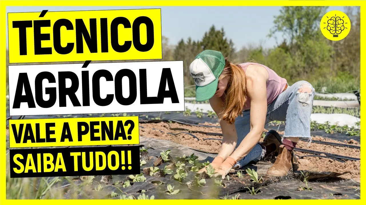 curso de tecnico agronomo - Qué hace un técnico agrícola