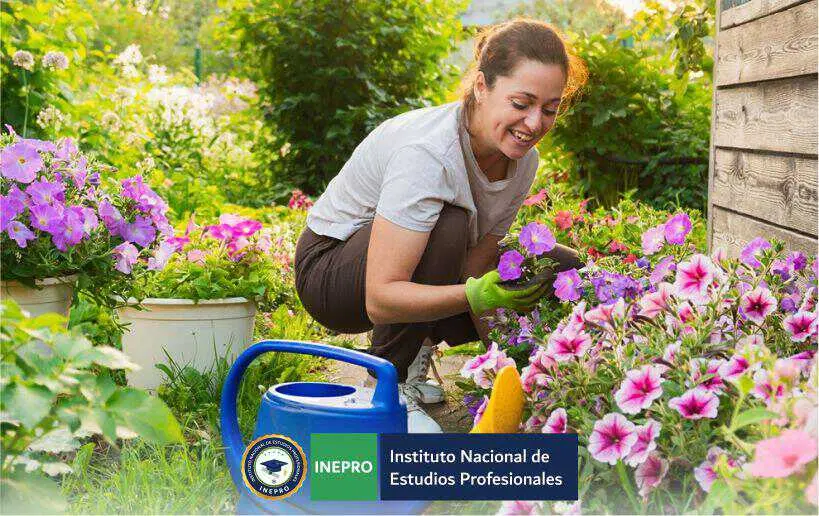 cursos de parques y jardines - Qué hace un técnico en parques y jardines