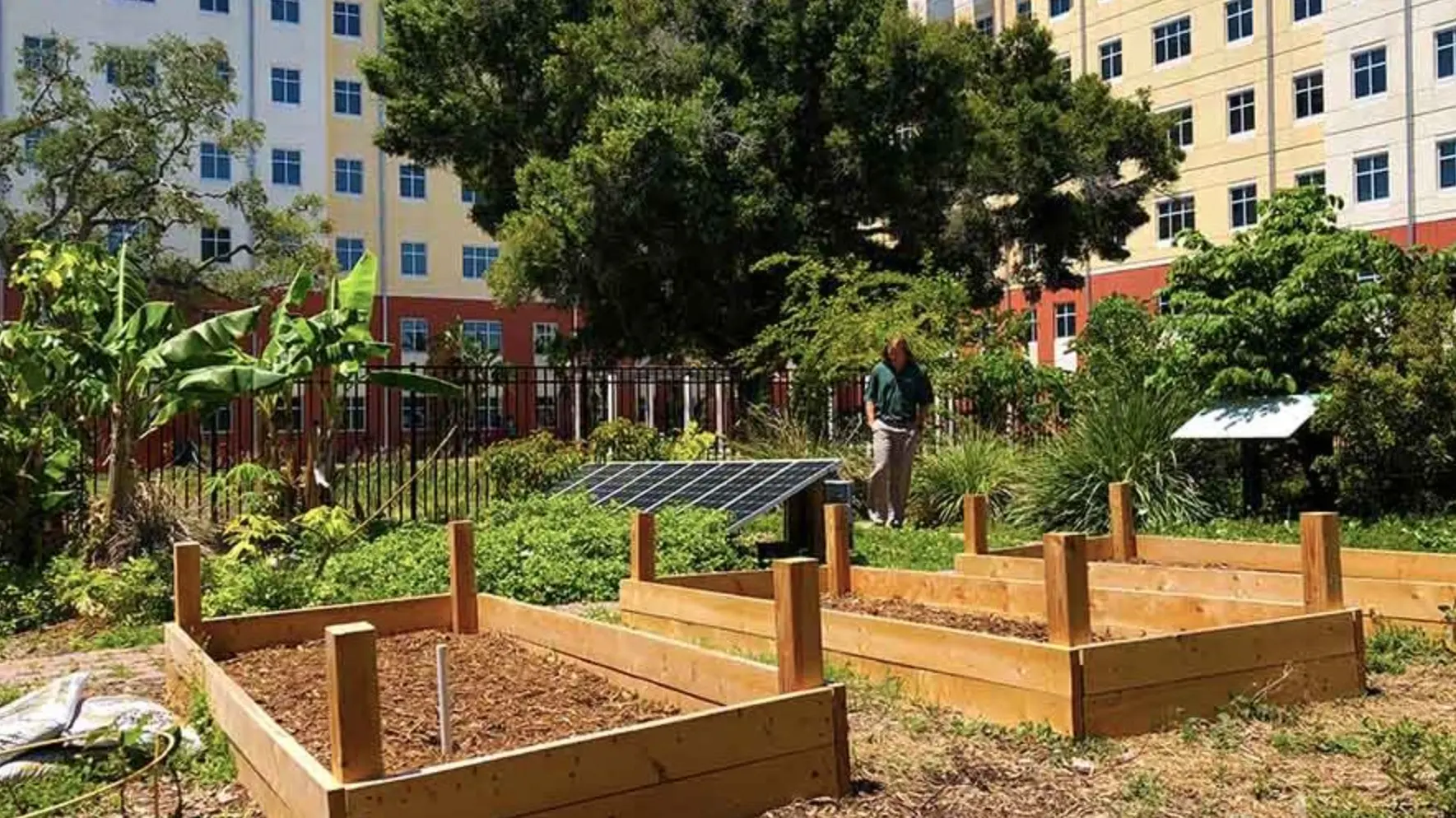 curso de sustentabilidad gratis - Qué hace un técnico en sustentabilidad