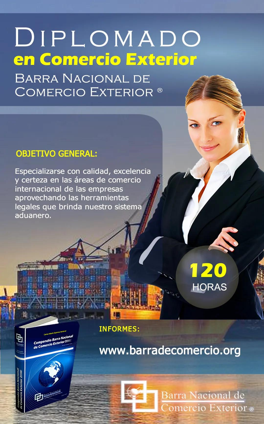 curso comercio exterior - Qué hacen las personas que estudian Comercio Exterior