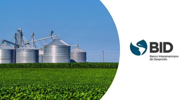 Curso de Agronegocios: Una Guía Completa - Qué hacen los agronegocios curso agronegocios - Qué hacen los agronegocios