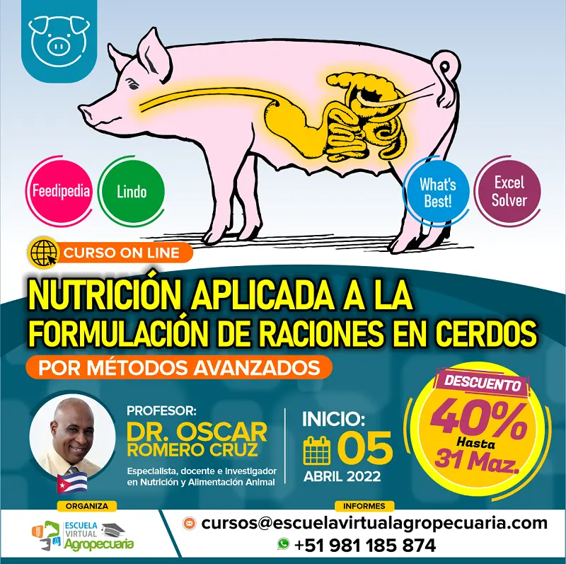 curso de nutricion animal online - Qué hay que estudiar para ser nutricionista animal