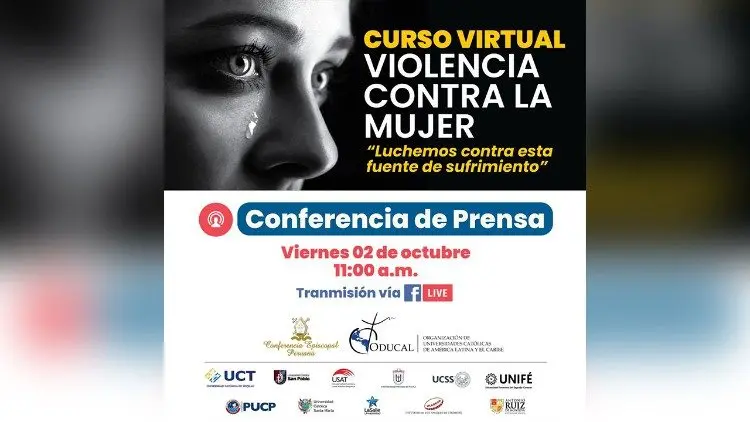 curso de violencia contra la mujer - Qué instituciones ayudan a evitar la violencia contra la mujer