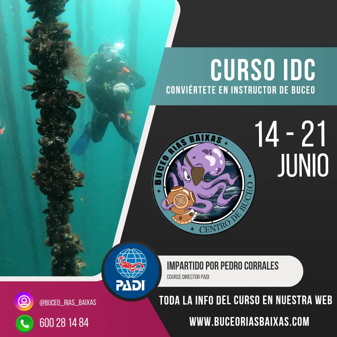 curso instructor de buceo - Qué necesitas para ser instructor de buceo