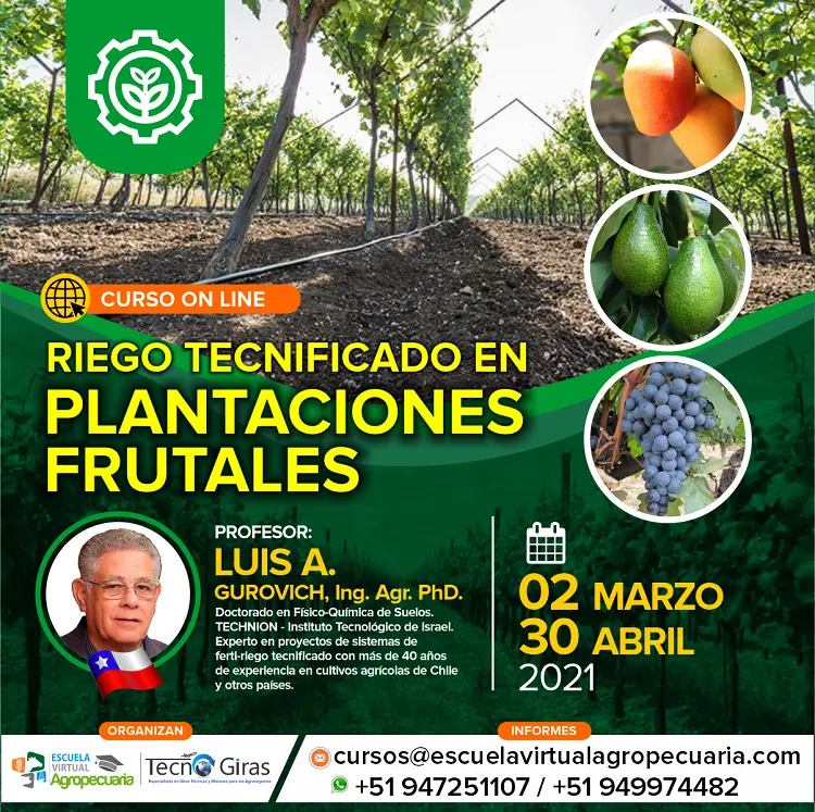 curso de riego por goteo - Qué necesito para hacer un riego por goteo