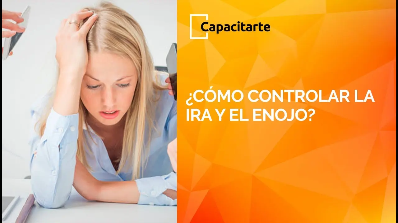 curso de ira - Qué órgano controla la ira