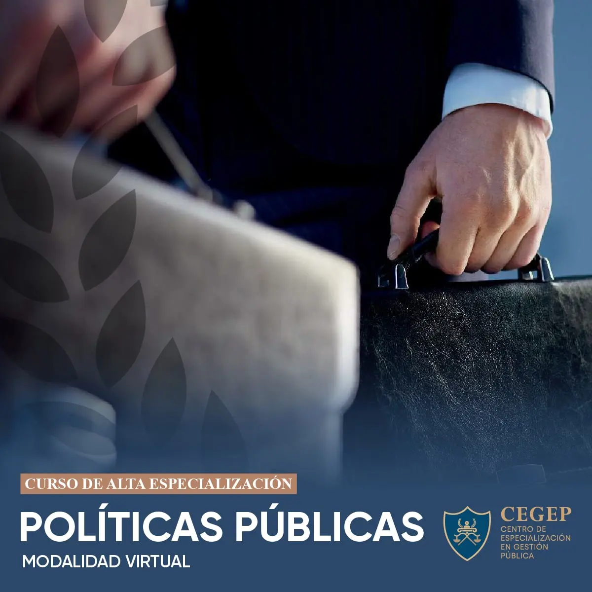 politicas publicas cursos online - Qué políticas públicas se llevan a cabo en Argentina