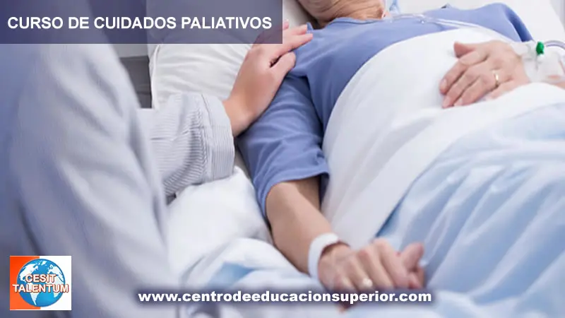 curso de cuidados paliativos online gratis - Qué profesionales pueden ofrecer cuidados paliativos