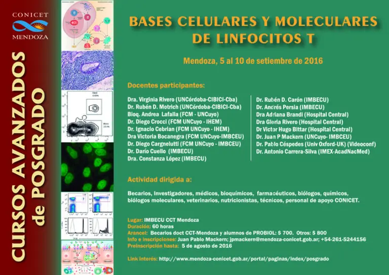 conicet cursos - Qué promedio se necesita para entrar al CONICET
