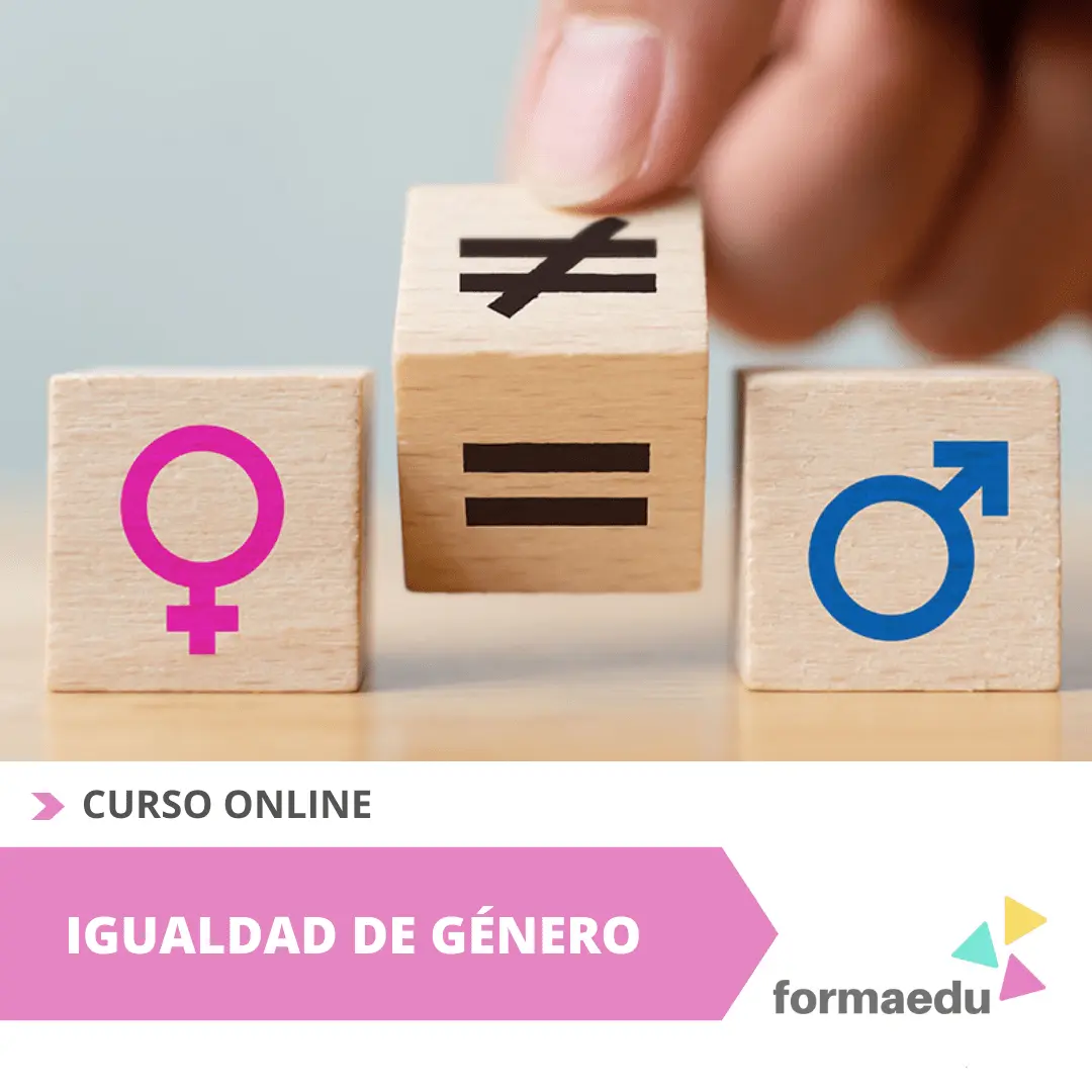 cursos igualdad de genero homologados - Qué salidas tiene el grado superior de igualdad de género