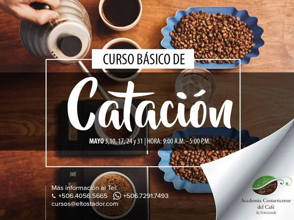 Curso de Catación de Café: Guía Completa para Conocer el Mundo del Café de Especialidad - Qué se debe estudiar para ser catador curso de catacion de cafe - Qué se debe estudiar para ser catador