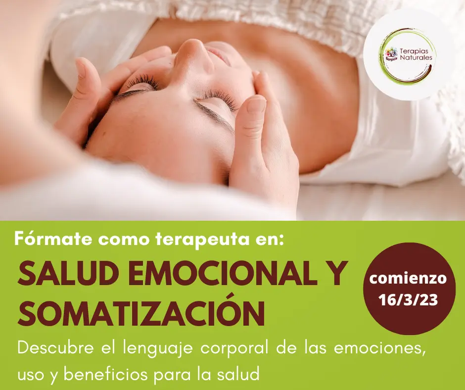 curso de terapeuta emocional - Qué se debe estudiar para ser terapeuta