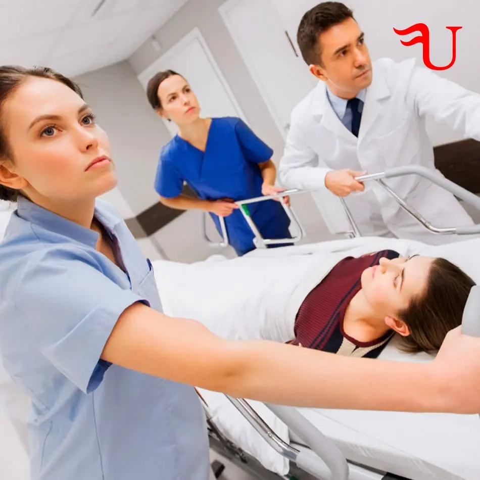 curso de asistencia sanitaria - Qué se entiende por asistencia sanitaria