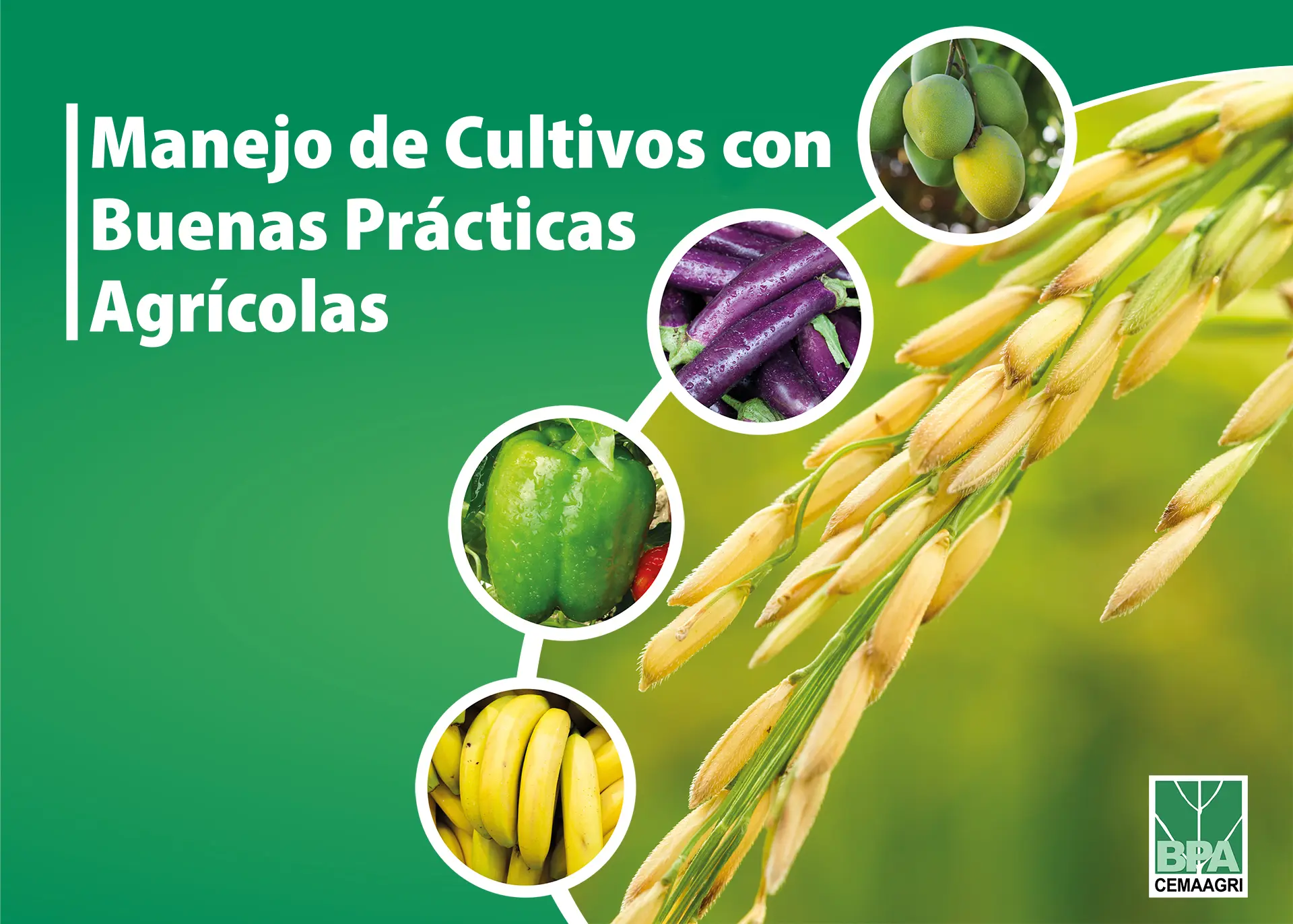 curso buenas practicas agricolas - Qué se entiende por buenas prácticas agrícolas