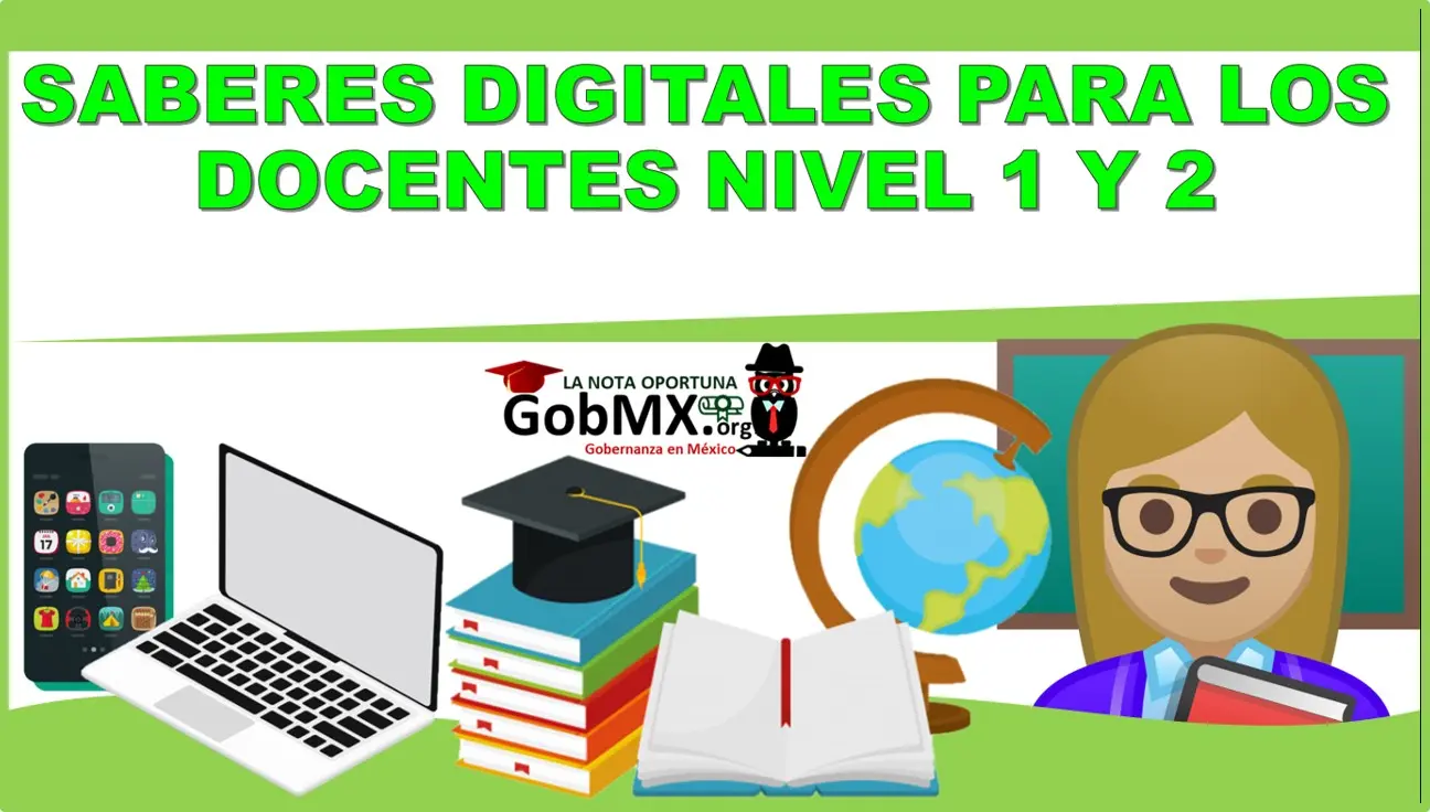 curso saberes digitales - Qué se entiende por saberes digitales