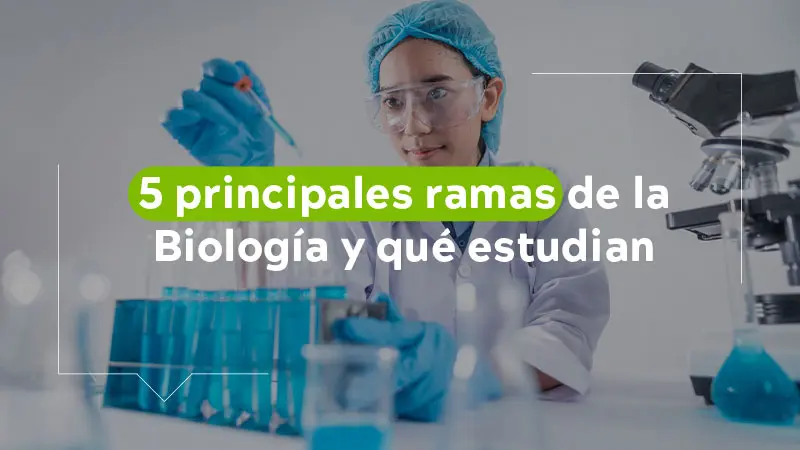 curso de biología - Qué se estudia en biología