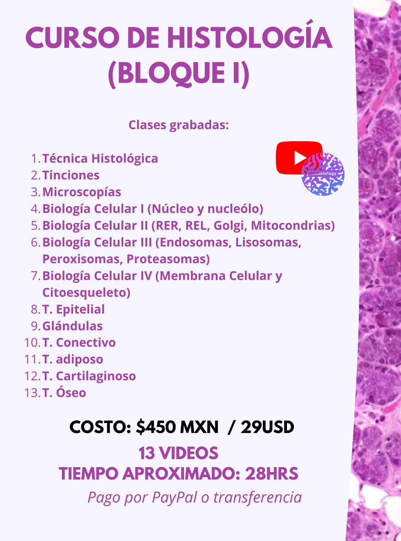 <b>Curso de Histología</b>: Guía Completa para el Estudio de Tejidos - Qué se estudia en la histología curso de histologia - Qué se estudia en la histología