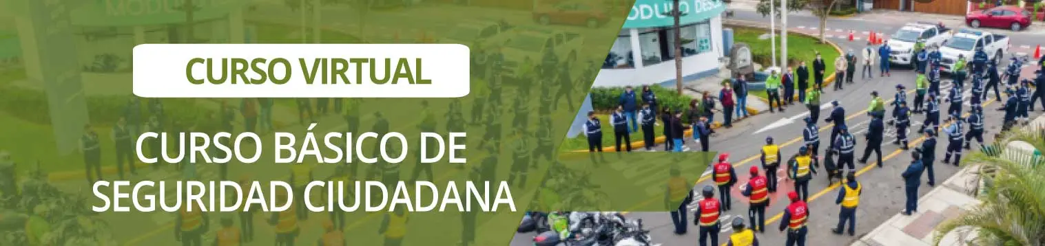 curso de seguridad ciudadana - Qué se estudia en Seguridad Ciudadana