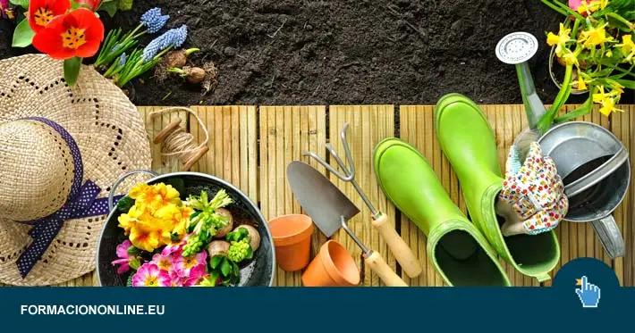 cursos de jardineria gratis - Qué se estudia para ser jardinero